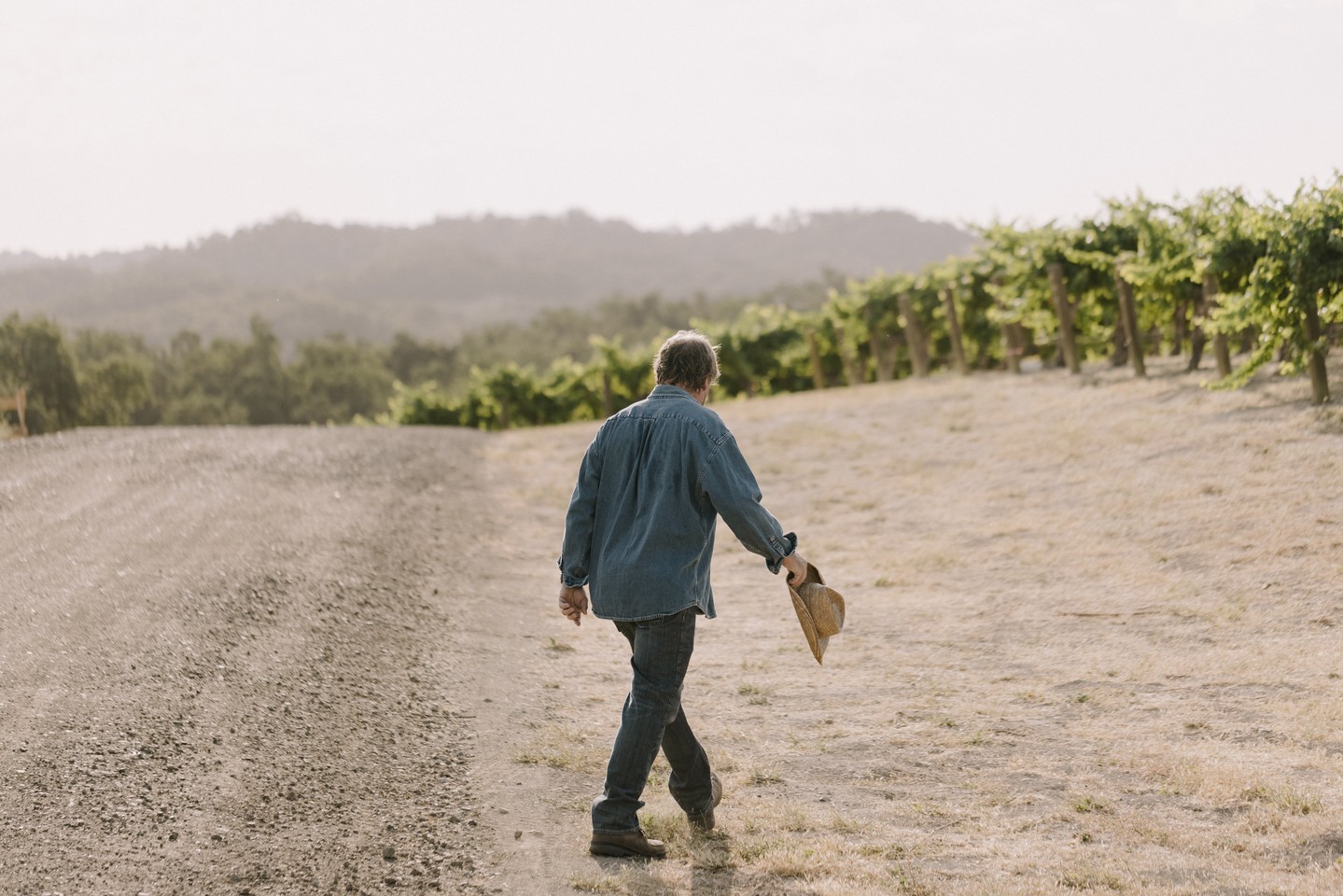 man walking on dirt road between vineyards