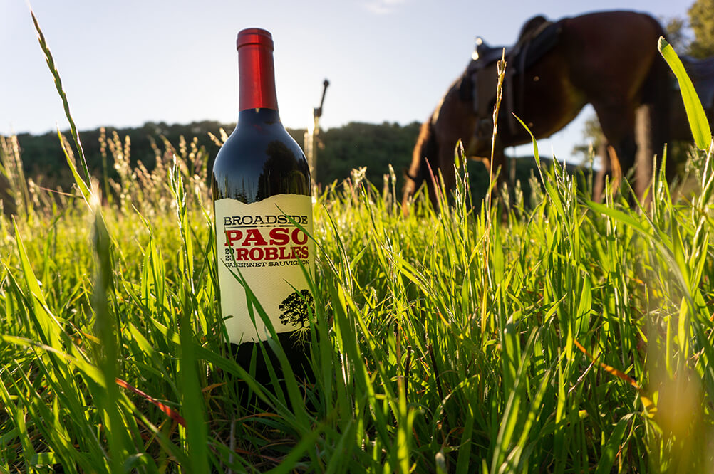 a bottle of 2023 cabernet sauvignon sits in a grassy field with a horse grazing in the background