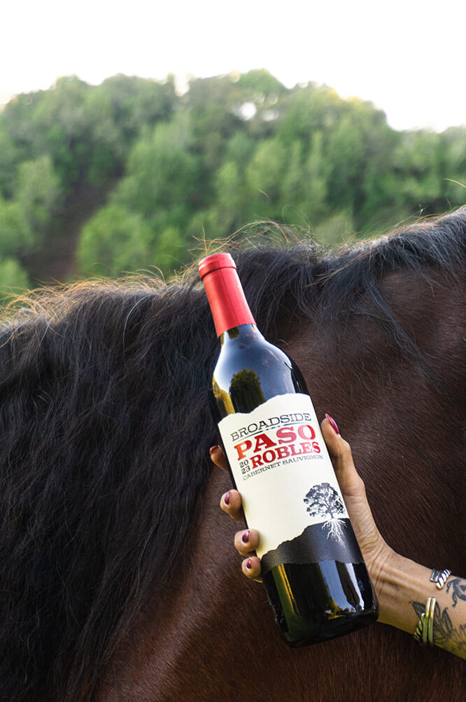 a lady's hand is holding a bottle of 2023 cabernet sauvignon with a horses neck and mane in the background